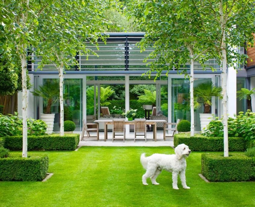 Contemporary Garden Design in London by Sallis Chandler