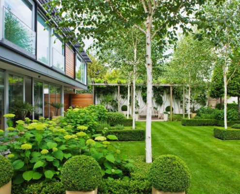 Contemporary garden designed by Sallis Chandler