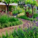 Traditional Garden Landscaping by Sallis Chandler