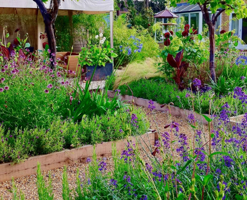 Traditional Garden Landscaping by Sallis Chandler