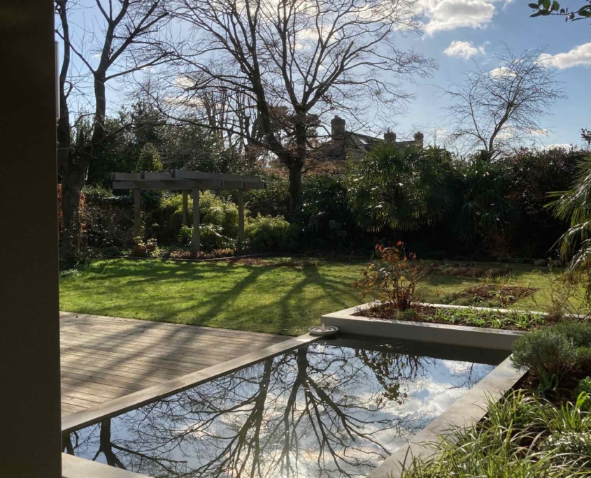 Lily pond in winter