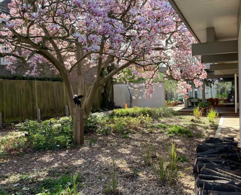 Magnolia and logpile