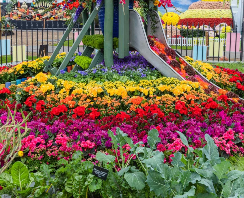 Rainbow flowers